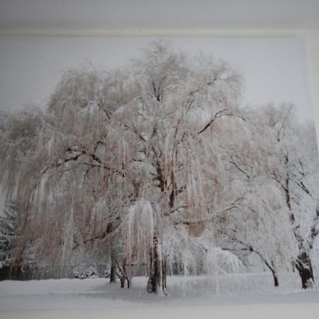 Longview House Bed & Breakfast Балимъни Екстериор снимка